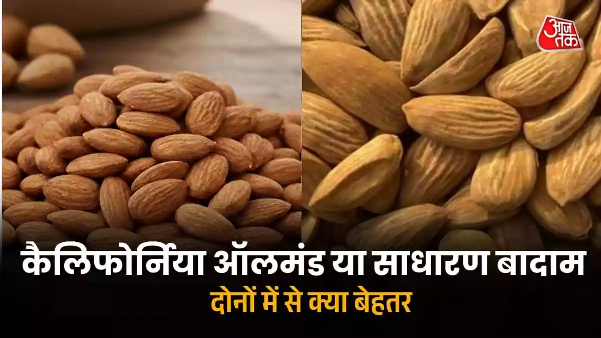 नॉर्मल या कैलिफोर्निया बादाम