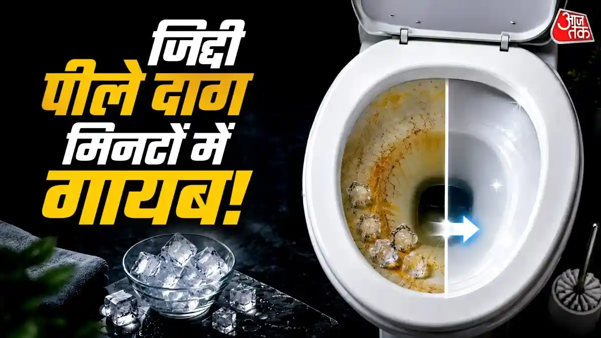 फ्री' में चमकेगी गंदी टॉयलेट सीट