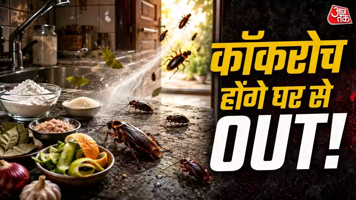 रसोई में मंडरा रहे कॉकरोच
