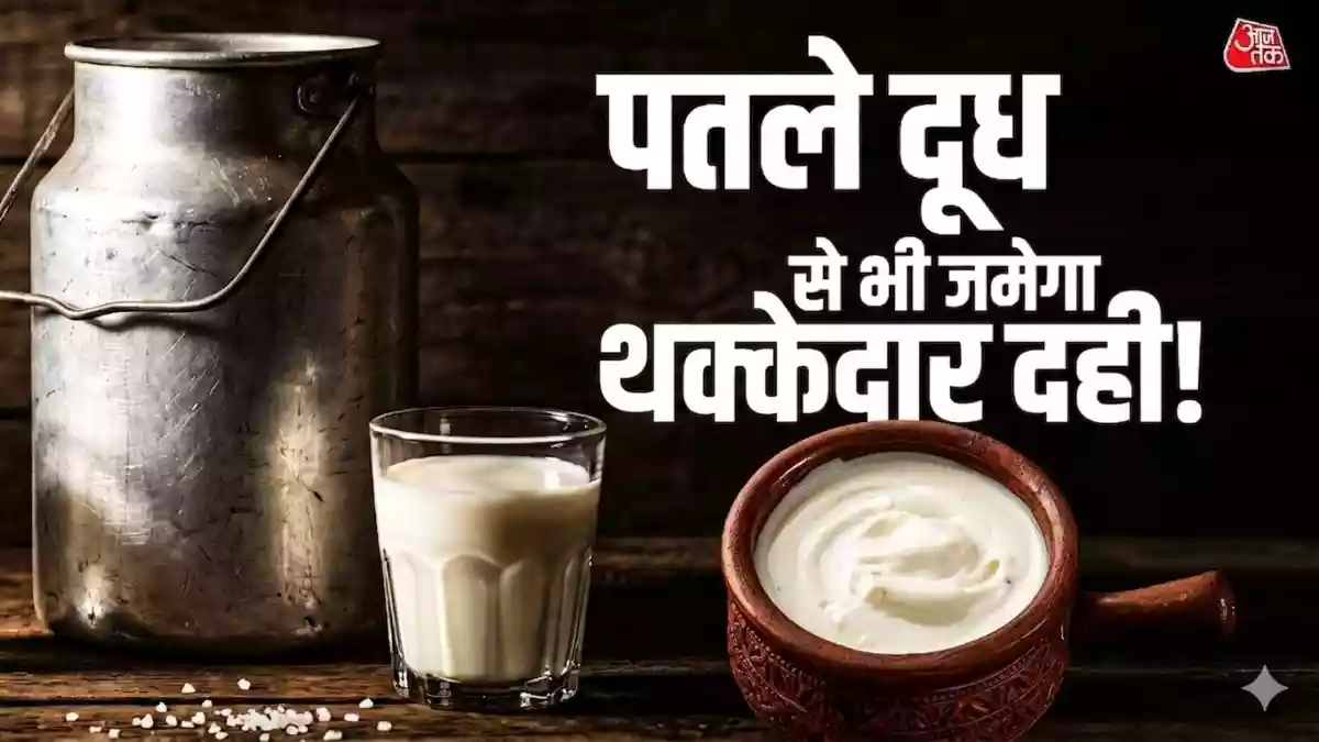 टोंड दूध से भी जमेगा बाजार जैसा गाढ़ा-मलाईदार दही