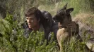 From Jacob Elordi in Ridley Scott's post-apocalyptic thriller, to a wacky NYC romcom starring Callum Turner and Monica Barbaro, here are the films to watch at