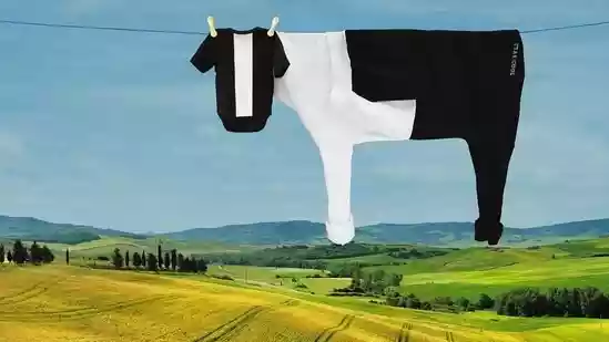 12 pics show London artist turning simple laundry into playful animal illusions