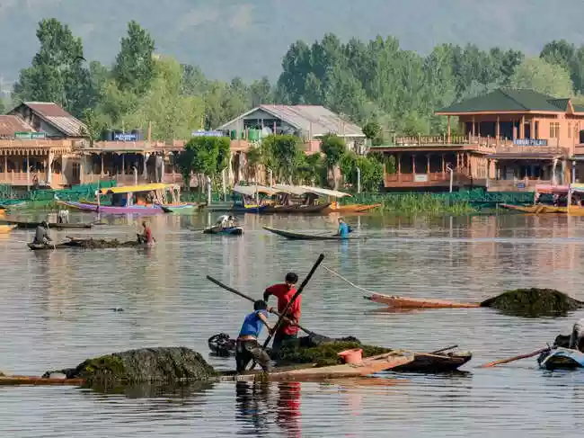 Land mafia has encroached over 17 lakh kanals of state land across Jammu and Kashmir. Jammu division accounts for the majority of this encroachment