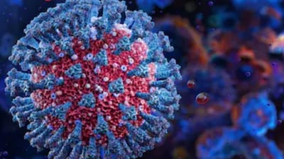 Today, November 16, 2025, marks 23 years since a mysterious illness silently emerged in southern China, one that would shock the world