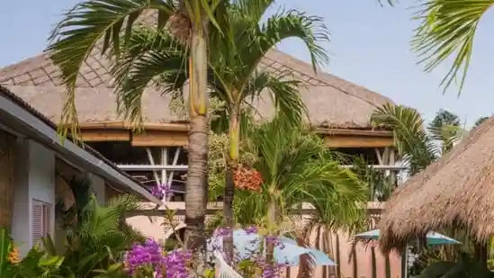 A tourist in Bali died and 10 others have been hospitalized after a suspected mass poisoning incident at a hostel. A Chinese youngster — identified as