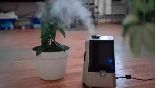 5 respiratory health essentials to support easy breathing at home