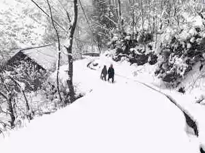 Heavy snowfall in Kashmir caused the cancellation of around 50 flights at Srinagar International Airport on Tuesday. Adverse weather conditions led airlines to