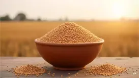 Winter calls for foods that nourish from within with ingredients that warm the body, strengthen immunity, and aid digestion during colder months