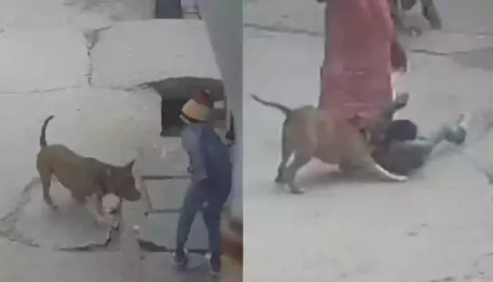 A six-year-old boy was left seriously injured in northwest Delhi's Prem Nagar after he was mauled by a neighbour's pet pitbull while playing outside his house