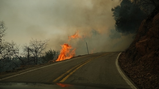 A fast-growing wildfire, dubbed the Mile Marker 39 fire, devoured 1600 acres by Tuesday afternoon, according to the Florida Forest Service. The wildfire, which is burning in the Florida Everglades, is sending smoke and haze across South Florida on Wednesday, prompting air quality concerns. The fire is 0% contained, but the firefighters continue to make efforts to contain the blaze.