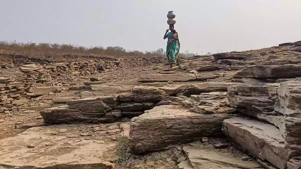 For the 35-odd families of Nelangur — a remote hilly village deep inside Abujhmad forests in Chhattisgarh’s Narayanpur district — summer ordeal of