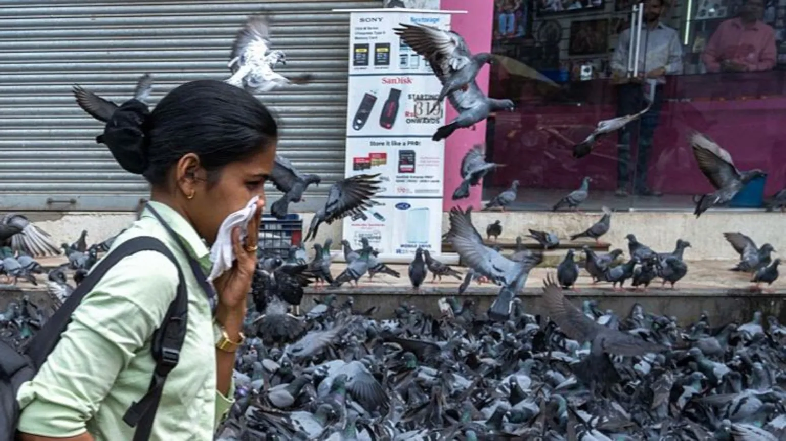 A recent court ban on feeding pigeons in public spaces in the western Indian city of Mumbai has become a major flashpoint between civic bodies, public health activists and bird lovers. This month, hundreds of people clashed with police twice while protesting the closure of a decades-old pigeon feeding spot, or a kabutarkhana. (Kabutar is the Hindi word for pigeon.)