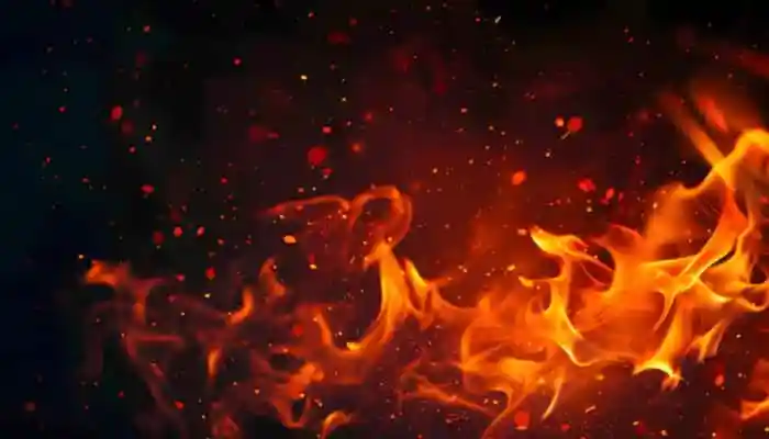 A tragic fire in a Kota apartment claims the lives of child actor Veer Sharma and his elder brother, with the blaze suspected to have been caused by a short circuit. New Delhi: A devastating fire broke out at the Deep Shree apartment complex in Kota's Anantpura area on Saturday, claiming the lives of 10-year-old television actor Veer Sharma and his 15-year-old brother Shaurya Sharma.