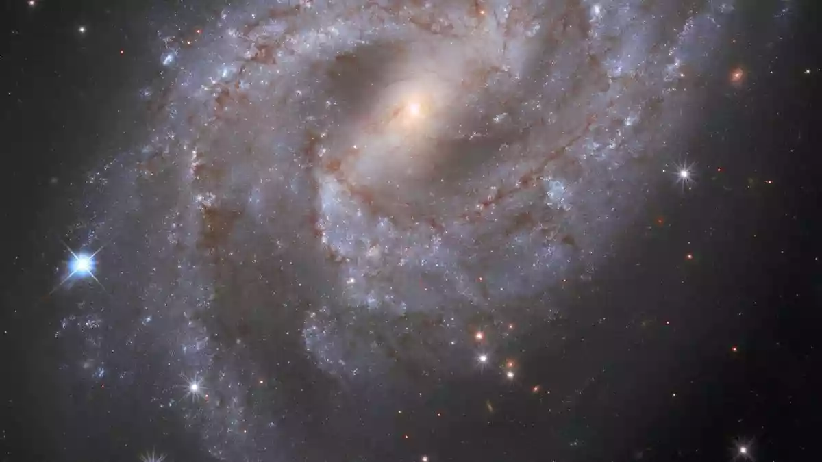 All major discoveries in cosmology underline the maxim that the universe is not only stranger than we suppose but that it is stranger than we can suppose