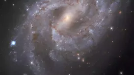 All major discoveries in cosmology underline the maxim that the universe is not only stranger than we suppose but that it is stranger than we can suppose