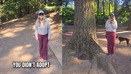 A video capturing a woman's heated outburst at a dog owner in Mount Tabor Dog Park, Portland, Oregon, has gone viral. The incident shows the woman confronting a man for owning purebred dogs instead of adopting from a shelter. The footage begins with the woman approaching the man unprovoked, shouting, 