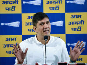 AAP Delhi president Saurabh Bhardwaj has accused the Delhi Police of disrupting Durga Puja celebrations in CR Park by restricting pandal timings from midnight
