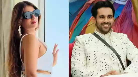 Television actor Abhishek Bajaj is currently one of the contestants in Salman Khan's reality show Bigg Boss 19. However, his personal life continues to make