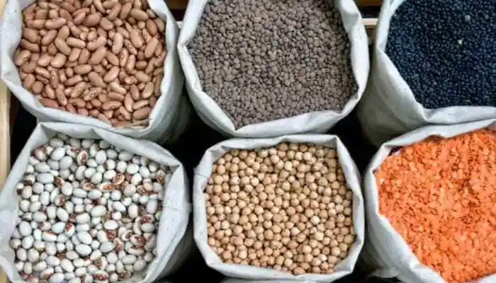 According to an official statement, around 2 crore farmers are set to benefit from assured procurement, quality seed distribution, and stronger value chain support under the new mission. India's pulses sector has already seen remarkable progress over the years—thanks to sustained government efforts under the National Food Security and Nutrition Mission (NFSNM).According to an official statement, around 2 crore farmers are set to benefit from assured procurement, quality seed distribution, and stronger value chain support under the new mission. India's pulses sector has already seen remarkable progress over the years—thanks to sustained government efforts under the National Food Security and Nutrition Mission (NFSNM). <strong>New Delhi: </strong>Prime Minister Narendra Modi on Saturday launched the ‘Mission for Aatmanirbharta in Pulses' (2025–26 to 2030–31), a major step toward boosting India's self-reliance in food production. With a budget of Rs 11,440 crore, the mission aims to increase domestic pulses production to 350 lakh tonnes and expand the cultivation area to 310 lakh hectares by 2030–31, strengthening India's agricultural foundation and reducing import dependence.