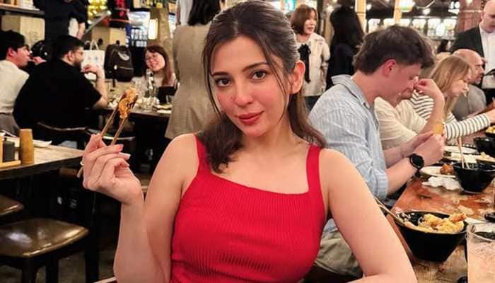 Actress Barkha Singh kickstarted her cinematic journey quite early in life with Mujhse Dosti Karoge! (2002) where she played a young Kareena Kapoor, followed by Samay: When Time Strikes (2003). Ever since, she has worked in many movies, television shows and web-series, making a niche spot for herself. In an interview with Zee News Digital, Barkha opened up on Criminal Justice Season 4, co-star Pankaj Tripathi and the reality of casting couch in showbiz world: