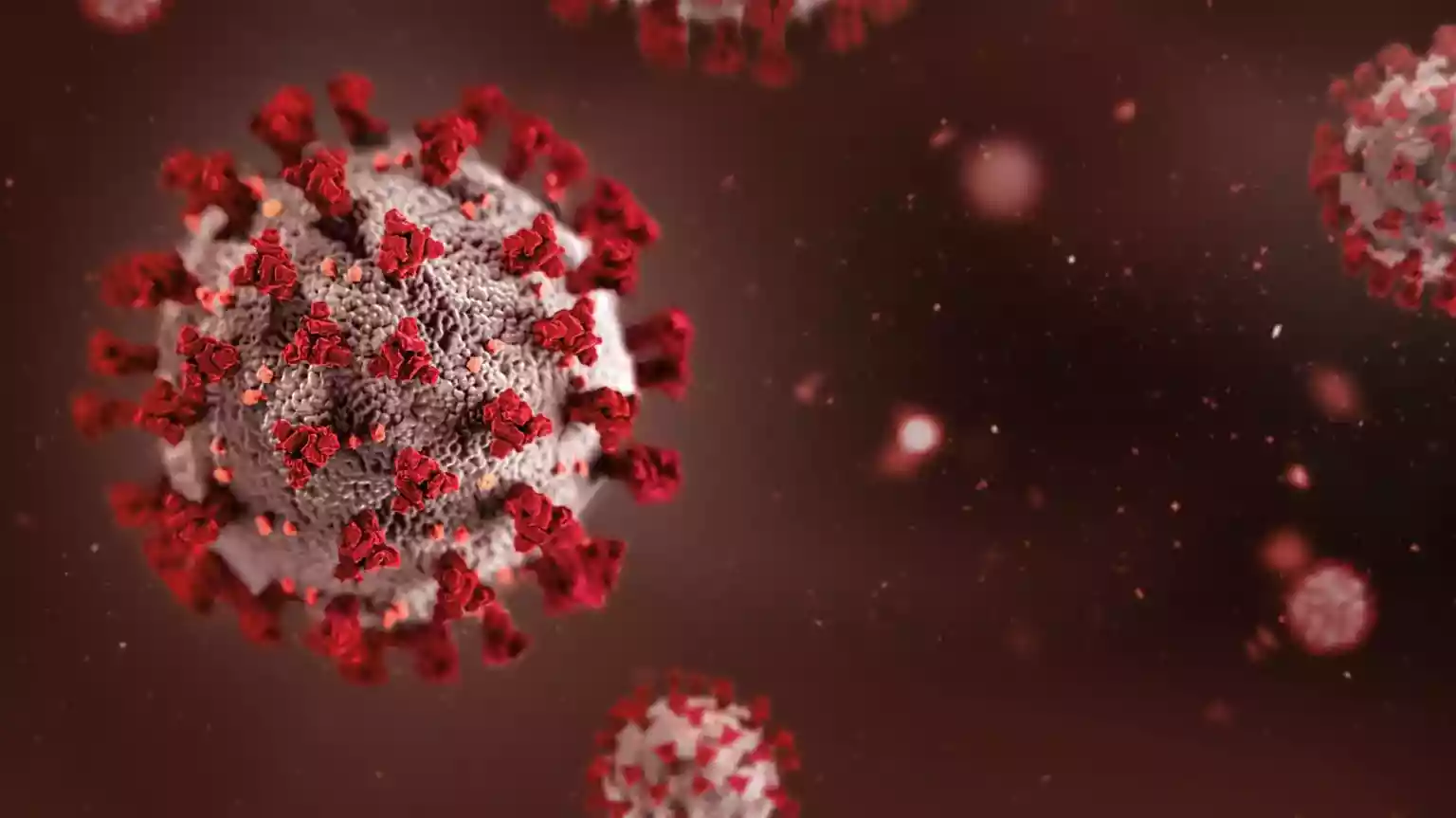 Next week's India-Africa Forum Summit has been cancelled due to the Ebola crisis in the Democratic Republic of Congo and Uganda. The fourth edition of the