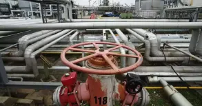 Reliance Industries stopped importing Russian oil into its refinery at Gujarat's Jamnagar from Thursday, Reuters reported. The Mukesh Ambani-led conglomerate