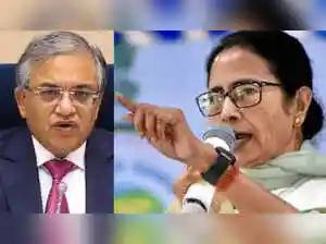 AI-driven digitisation errors causing widespread hardship during SIR