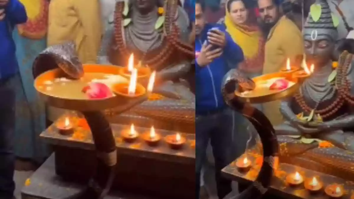 AI Video’ Of Snake ‘Performing Aarti’ At Lord Shiva’s Temple Shocks Internet