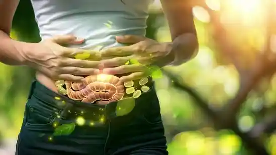 Our gut is often called the “second brain” of the body, and its health impacts everything from digestion to immunity and even mood. Yet
