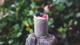 Seeds have been part of the human diet for millennia on account of being nutrient-dense sources of food. A seed contains all the necessary ingredients for a