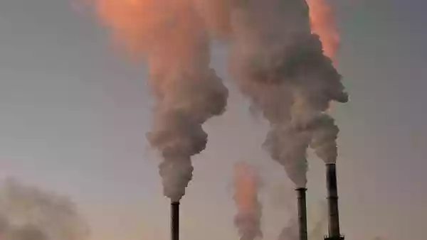 Air pollution harms the gut and raises heart disease risk