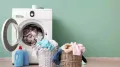 Washing machines continue to remain among the more heavily searched home appliance categories during the ongoing Amazon Great Summer Sale as buyers look for