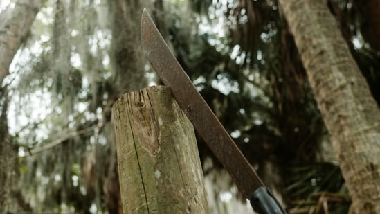 An Indian man received an extended Australian visa after he nearly lost a hand in an alleged machete attack. According to reports, the government considered his case on compassionate grounds and extended his visa. Saurabh Anand was allegedly attacked by a group of teenagers at a shopping centre in Altona Meadows, in Victoria, about a month ago, reported ABC News. Five teenagers are charged in the alleged attack, and police also arrested a 15-year-old in connection with the case.