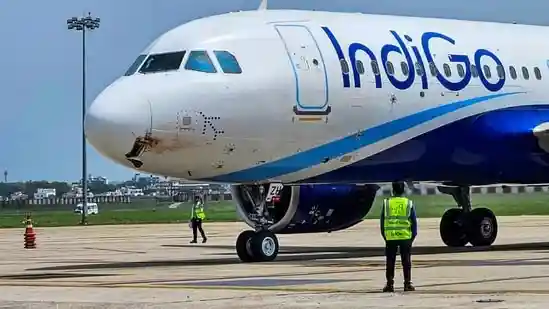 An IndiGo flight from Kanpur to Delhi was delayed for over three hours after a rat was spotted inside the aircraft, causing panic among passengers and crew, officials aware of the matter said. The incident took place on Sunday after the flight had arrived in Kanpur at 2.10pm. The cabin crew was preparing for the Delhi-bound return flight 6E 2192, scheduled to depart at 2.55pm, when one of the crew members noticed a rat inside the aircraft. Passengers who had boarded the plan also saw the rodent and began raising an alarm, officials said.