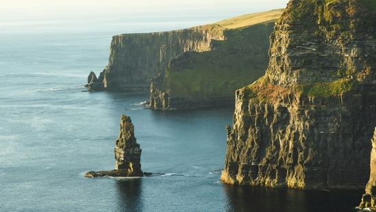 An Irish-born doctor was left shocked after a group of kids, including one as young as 10-year-old, hurled racist remarks at him. According to reports, the group of children shouted abusive remarks towards the Pakistani-origin doctor in “broken Indian accent.” They went on to impersonate Apu, an Indian immigrant proprietor in the popular American animated series The Simpsons.