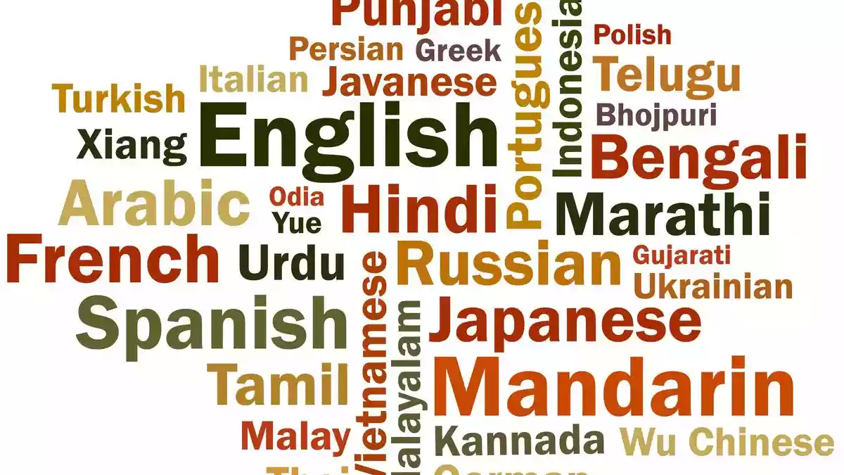 I am an educator committed to nurturing critical thinking among learners and strengthening social cohesion in our diverse nation. The Hindu Education Plus /