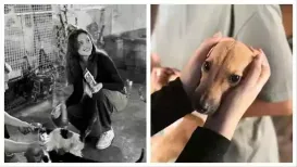 Aneet Padda has dropped a sweet and heartwarming post of her visit to an animal shelter on the outskirts of Mumbai. Aneet spent an entire day spending time