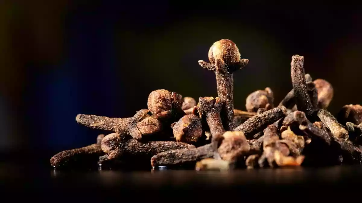 Are There Any Benefits Of Regularly Drinking Clove Water