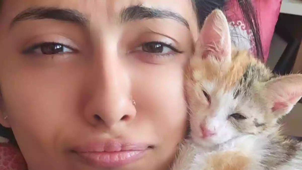 Are You Meeting Your Cat’s Nutritional Needs