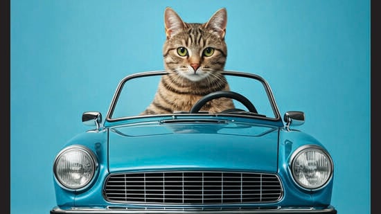 Are you OK? Or are you okay, okie, okiii, okai or kk? If you text, you already know that each of those responses mean vastly different things. You know, without taking a Coursera lesson on the subject, how old someone is by the way they greet you: Hello, heyyy or hieeee.