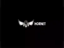 Artha Venture Fund, an early-stage venture capital firm, has led the removal of Souvik Haldar, founder and chief executive of Kolkata-based Hornet