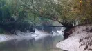 Just a few months after the Border Security Force (BSF) explored the curious prospect of releasing snakes and crocodiles into rivers at the Indo-Bangladesh