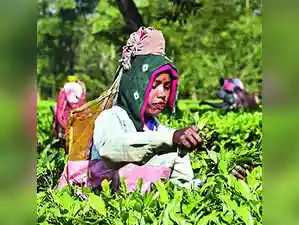 Union minister Sarbananda Sonowal has indicated a positive consideration for granting Scheduled Tribe status to six communities in Assam