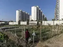 In the world of China's economy, the story is mixed. Ningbo's colossal port represents a beacon of export success, highlighting the country's manufacturing