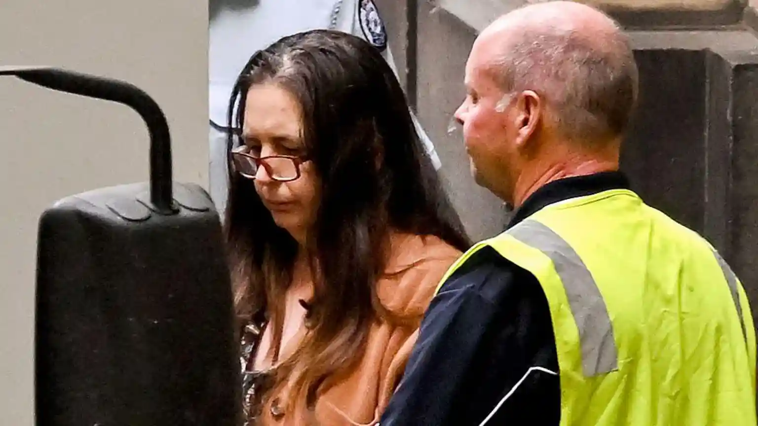 Australia's mushroom murderer Erin Patterson intends to appeal against her conviction, her lawyer has told a court in Melbourne. Earlier last month, Patterson was sentenced to life in jail after a jury found her guilty of killing three relatives and attempting to kill another by serving them a toxic beef Wellington laced with poisonous mushrooms.