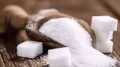 Sugar stocks traded lower on Thursday after the Centre banned sugar exports with immediate effect till September 30, 2026, in a move aimed at ensuring adequate