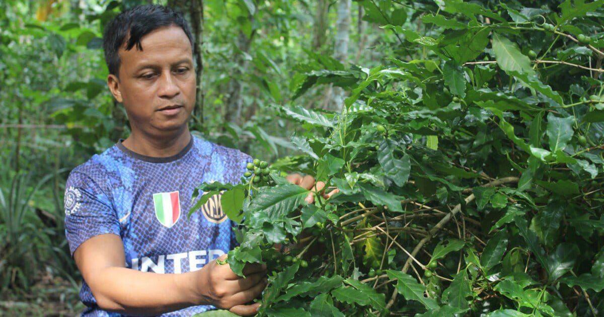 Bangladesh's northeastern corner, as shown on Google Maps, features irregular green patches: pale green swaths and smaller deep green pockets. In or around each deep green area lies a Khasi village, or punjee, with tin-roofed cottages on hillocks, indicating homes to one of Bangladesh's Indigenous communities.