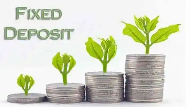 Fixed deposits are a safe and reliable investment tool for conservative investors to earn consistent long-term returns. Compared to simply parking your money