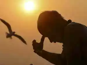 Basant Panchami draws over 1 cr devotees to Prayagraj’s Magh Mela