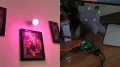 In a quirky fusion of technology and personal finance, a Bengaluru resident has created an artificial intelligence powered bedroom light system that shifts
